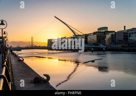 Samuel Beckett Bridge sur la rivière Liffey, Dublin, Irlande à l'aube Banque D'Images