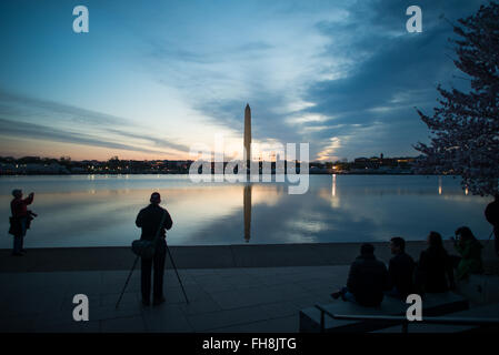 WASHINGTON DC — visiteurs et photographes se rassemblent le long du Tidal Basin avant le lever du soleil pour admirer les cerisiers en fleurs avec le Washington Monument au loin. La floraison annuelle maximale des arbres en fleurs, à l'origine un cadeau du Japon en 1912, attire de grandes foules sur le front de mer. Banque D'Images