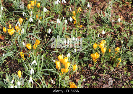 Welford Park, Newbury, Berkshire, Royaume-Uni Banque D'Images