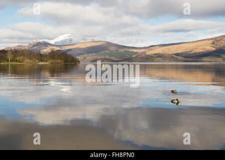 Luss, Loch Lomond, Ecosse, Royaume-Uni. 24 Février, 2016. Météo France : une journée d'hiver lumineux à Luss, sur le côté ouest du Loch Lomond, avec des sommets enneigés Ben Lomond dans la distance Crédit : Kay Roxby/Alamy Live News Banque D'Images