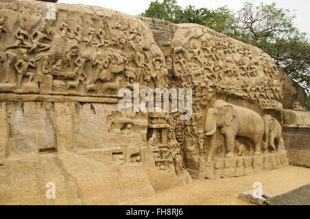 La pénitence d'Arjuna de Mahabalipuram, Tamil Nadu, Inde Banque D'Images