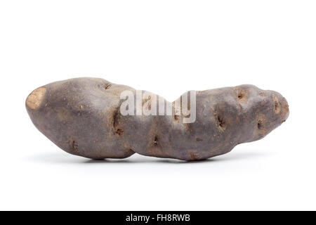 Ensemble de la seule matière première fraîche de pommes de terre Vitelotte noir isolé sur fond blanc Banque D'Images