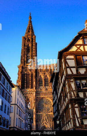 Cathédrale gothique Notre-Dame 14ème siècle au coucher du soleil, Strasbourg, Alsace, France Banque D'Images