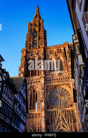 Cathédrale gothique Notre-Dame 14ème siècle au coucher du soleil, Strasbourg, Alsace, France Banque D'Images