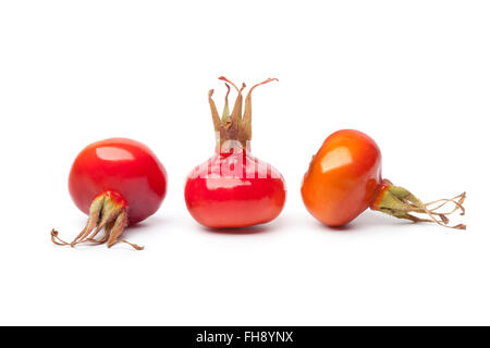 Entiers et frais d'églantier rouge isolé sur fond blanc Banque D'Images