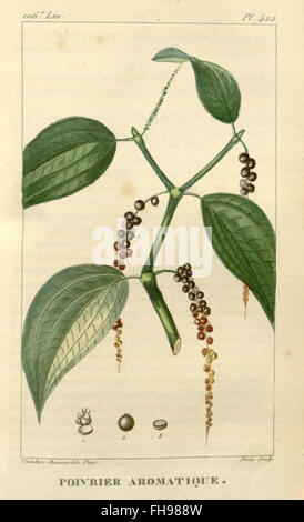 'Flore médicale des Antilles' se concentre sur les plantes médicinales des Antilles, détaillant leurs utilisations en médecine traditionnelle et moderne, mettant en valeur des illustrations botaniques. Banque D'Images