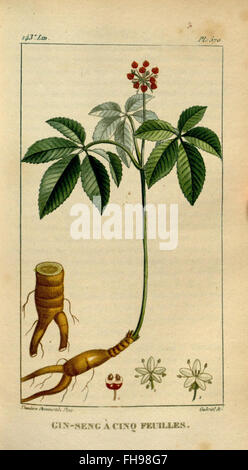 Flore médicale des Antilles, ou, Traité des plantes usuelles, une étude botanique complète des plantes médicinales trouvées dans les Antilles, détaillant leurs utilisations en médecine locale, hébergée à la bibliothèque Peter H. Raven du Missouri Botanical Garden. Banque D'Images