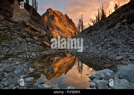 ID00373-00...NEW YORK - Lever du soleil reflétée dans un petit étang près de la rive du lac en dents de scie dans la région sauvage. Banque D'Images