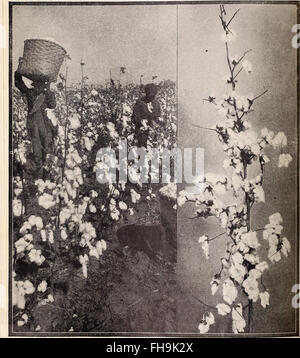 Hastings' seeds - printemps 1912 le catalogue (1912)