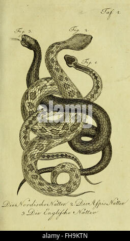 Une œuvre de Herrn de la Cepede détaillant l'histoire naturelle des amphibiens, des animaux à quatre pattes et des serpents, hébergée dans la bibliothèque de l'Université Harvard. Banque D'Images