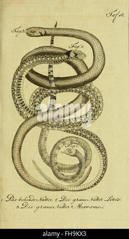 Un ouvrage complet de de la Cepede sur l'histoire naturelle des amphibiens, des animaux à quatre pattes et des serpents, comprenant des descriptions détaillées et des illustrations. Banque D'Images