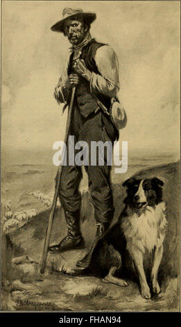 'Flore médicale des Antilles' fournit des descriptions détaillées des plantes médicinales trouvées dans les Antilles. Ce travail explore l’utilisation des plantes en médecine traditionnelle et leur classification botanique. Banque D'Images