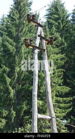 Crooked en bois, powerline Croatie. Banque D'Images