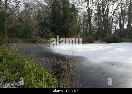 / Congelés étang glacé sur une journée l'hiver entouré d'arbres et de feuillages Banque D'Images