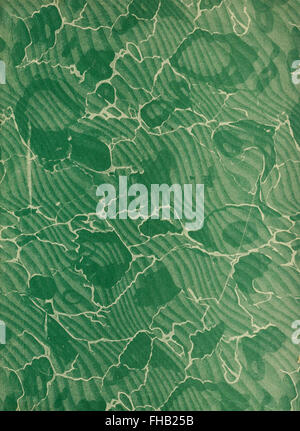 Un compte-rendu historique détaillé de la dévastation de San Francisco après le tremblement de terre et l'incendie de 1906, avec des comptes-rendus supplémentaires d'éruptions volcaniques, y compris le Vésuve, expliquant les causes sismiques. Banque D'Images