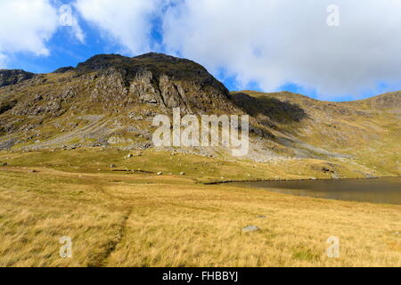 Llyn Dyfi, source de la rivière Dyfi qui se trouve en dessous du sommet de l'abrie Banque D'Images