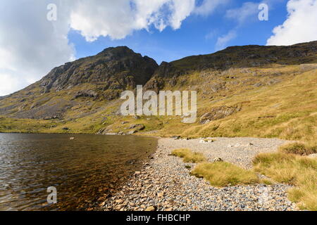 Llyn Dyfi, source de la rivière Dyfi qui se trouve en dessous du sommet de l'abrie Banque D'Images