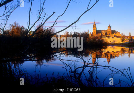 Cathédrale de Salamanque,rivière Tormes, Espagne Banque D'Images