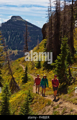 Les randonneurs autour de Lobo, l'altitude du point 7060 pieds, sur la ligne continentale de partage - LE SUD DU COLORADO MR Banque D'Images