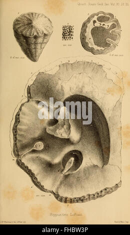 Revue périodique universitaire publiée par la Geological Society of London, axée sur la recherche et les études liées à la géologie et aux sciences de la terre. Banque D'Images