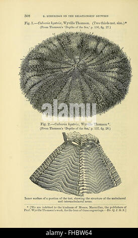 Une prestigieuse revue académique axée sur la recherche géologique, avec des articles et des articles discutant des dernières découvertes et des progrès en géologie. Banque D'Images