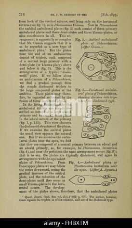 Une revue académique axée sur la recherche et les découvertes géologiques, publiée trimestriellement par la Geological Society of London, avec des contributions de géologues de renom. Banque D'Images