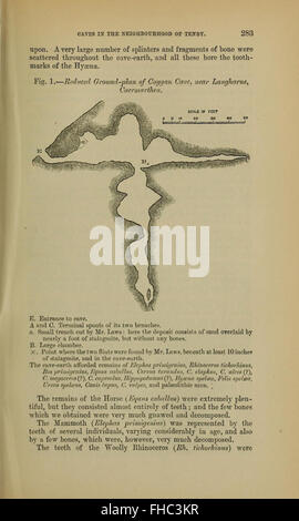 Revue périodique consacrée aux études géologiques, à la recherche et aux discussions scientifiques, publiée par la Geological Society of London. Banque D'Images