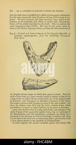 Un autre numéro de la Geological Society of London, couvrant la géologie, la géomorphologie et les études des systèmes naturels de la Terre. Banque D'Images