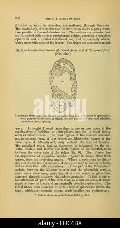 Une revue périodique publiée par la Geological Society of London, axée sur la recherche géologique, disponible via les bibliothèques Smithsonian Banque D'Images