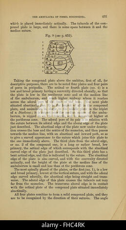 The Quarterly Journal of the Geological Society of London, une publication périodique consacrée à la géologie, disponible dans les bibliothèques Smithsonian Banque D'Images