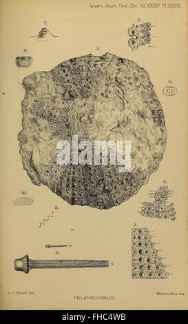 The Quarterly Journal of the Geological Society of London : revue périodique consacrée aux études géologiques, publiée par la Geological Society of London. Banque D'Images