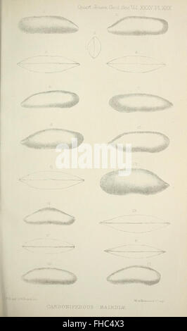 Revue universitaire consacrée à l'étude de la géologie, publiée trimestriellement par la Geological Society of London, présentant des articles scientifiques et des recherches sur des sujets géologiques. Banque D'Images