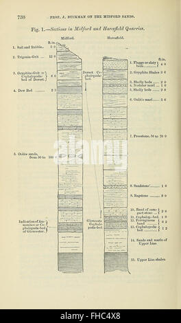 Revue académique publiée par la Geological Society of London, contenant des rapports périodiques et des recherches dans le domaine de la géologie, disponible à la Smithsonian Libraries. Banque D'Images