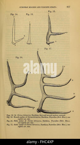 Revue périodique publiée par la Geological Society of London, axée sur les études géologiques et les progrès des sciences de la Terre, avec des collections conservées dans les bibliothèques Smithsonian. Banque D'Images