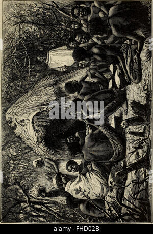 Un récit de voyage de 1886 documentant un voyage à travers le continent africain, en particulier à travers la côte ouest de l’Angola, avec des descriptions détaillées des paysages, des cultures et des personnes rencontrées en cours de route. Banque D'Images