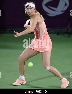 Doha, Qatar. Feb 24, 2016. Caroline Wozniacki du Danemark au cours de la concurrence des célibataires troisième tour match contre Elena Vesnina de la Russie lors de la WTA Open du Qatar 2016 à Doha, Qatar, le 24 février 2016. Elena Vesnina 2-1. Credit : Nikku/Xinhua/Alamy Live News Banque D'Images