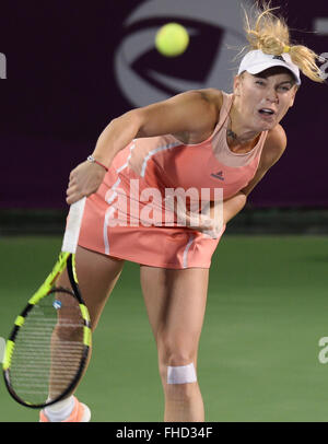 Doha, Qatar. Feb 24, 2016. Caroline Wozniacki du Danemark au cours de la concurrence des célibataires troisième tour match contre Elena Vesnina de la Russie lors de la WTA Open du Qatar 2016 à Doha, Qatar, le 24 février 2016. Elena Vesnina 2-1. Credit : Nikku/Xinhua/Alamy Live News Banque D'Images