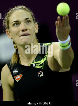 Doha, Qatar. Feb 24, 2016. Timea Babos de Hongrie au cours de la concurrence des célibataires troisième ronde match contre Garbine Muguruza d'Espagne à l'Open du Qatar 2016 WTA à Doha, Qatar, le 24 février 2016. Garbine Muguruza a gagné 2-0. Credit : Nikku/Xinhua/Alamy Live News Banque D'Images