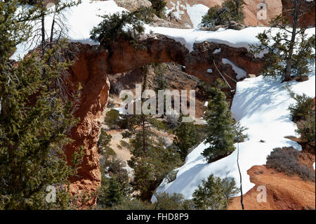 Arche naturelle dans le Parc National de Bryce Canyon, scène d'hiver, avec des arbres de pin ponderosa montrant à travers le trou dans l'arche, la neige Banque D'Images