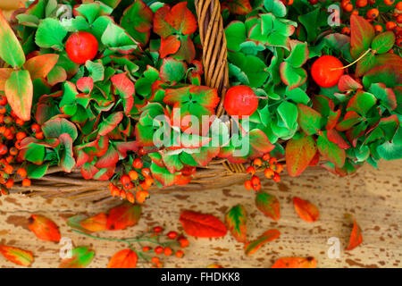 Arrangement de fleurs Banque D'Images