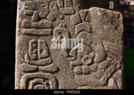 Stèles de zapotèque image en face de l'IMMEUBLE DES DANSEURS (Edificio de los Danzantes) dans le Grand Plaza à Monte Alban Banque D'Images