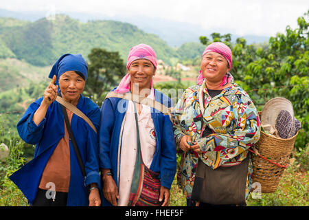 Hill tribe Plateau exploitants marcher le long d'une route après une journée de travail dans les champs de thé en région montagneuse 'Mae Salong" en Thaïlande. Banque D'Images