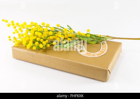 Mimosa fleur sur un wrapped present fort Banque D'Images