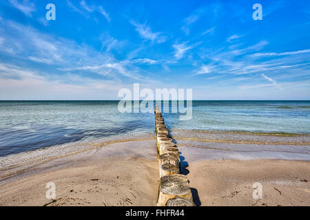 Paysage typique de l'île de Hiddensee, à l'océan Banque D'Images