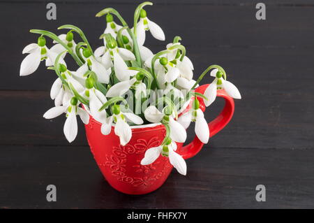 Perce-neige fraîche bouquet dans un vase improvisé sur fond sombre Banque D'Images