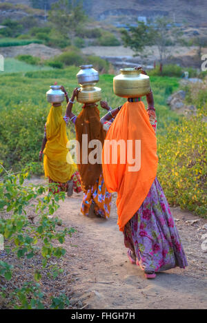 Des femmes portant sur leur tête de l'eau dans les zones rurales du Rajasthan, Inde Banque D'Images