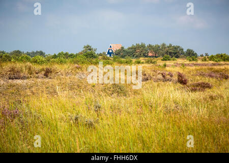 Paysage typique de Hiddensee heath avec blue cottage Banque D'Images