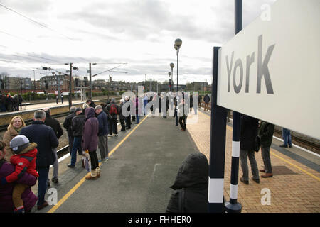 La gare de York, Royaume-Uni, 25 février 2016. La foule attendant l'arrivée de l'A3 LNER, récemment restauré, la locomotive de la classe "Flying Scotsman" après son premier transport de passagers retour voyage de King's Cross de Londres à New York. La locomotive a été rétablie à un prix de £4.2 millions et en plus d'offrir dans une nouvelle exposition à l'emplacement de New York GRN sera le transport de trains spéciaux dans tout le Royaume-Uni dans les mois à venir. Crédit : david soulsby/Alamy Live News Banque D'Images