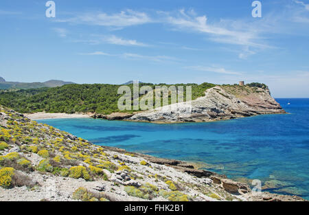 Majorque, Îles Baléares : la mer Méditerranée et de maquis avec Torre des Matzoc sur l'arrière-plan en Cala Estreta, une plage éloignée dans le nord Banque D'Images