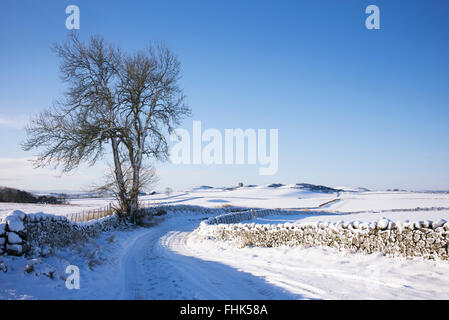 Route de campagne couverte de neige dans la région des Scottish Borders. L'Ecosse Banque D'Images